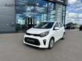 Kia Picanto Vision LenkradHZG SitzHZG Klima CarPlay Weiß - thumbnail 1