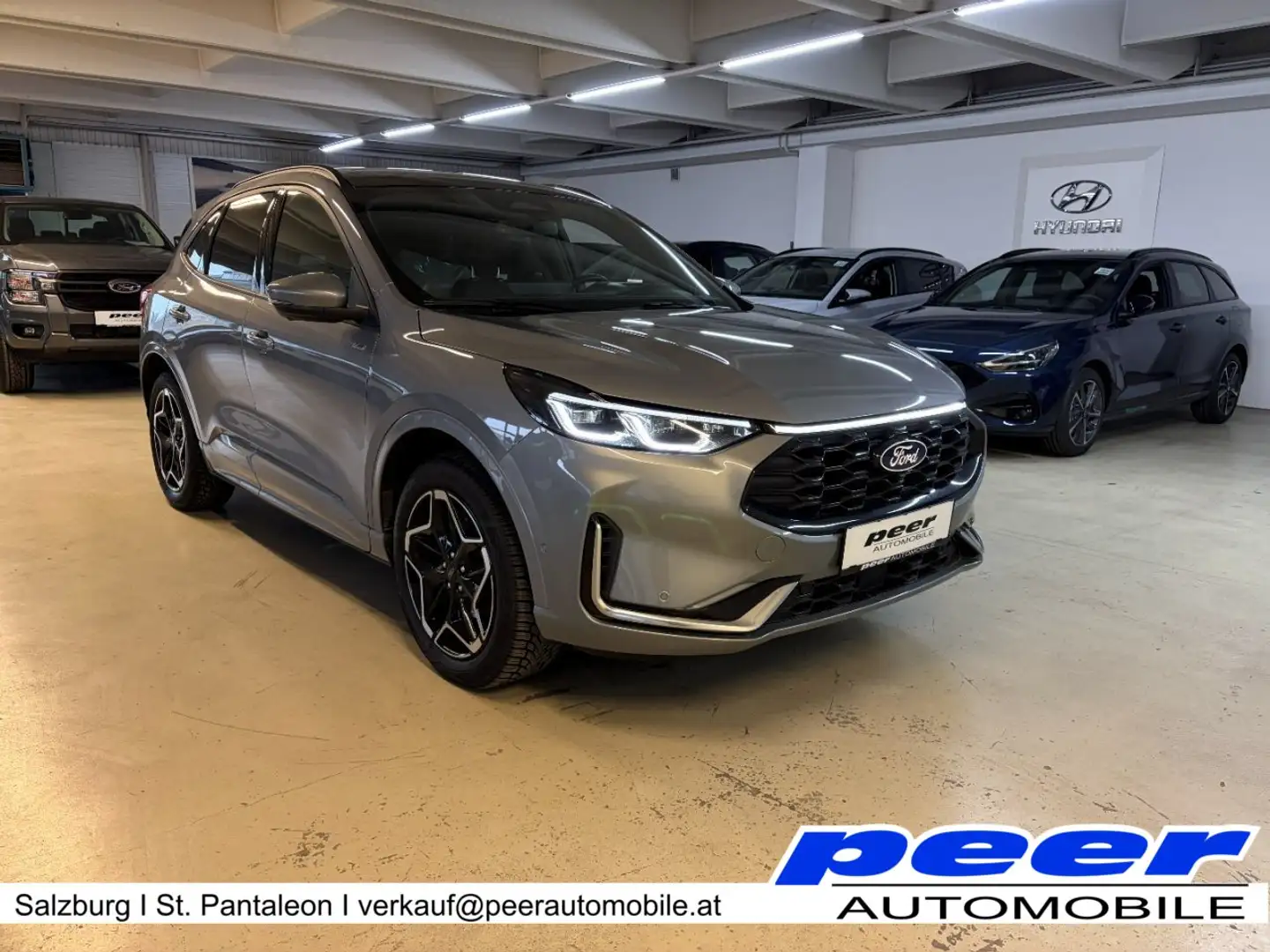 Ford Kuga Kuga 2,5 Duratec FHEV ST-Line X Allrad Aut. 183PS Grau - 1