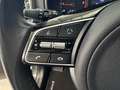 Kia Sportage 1.6 MHEV Drive Plus 4x2 136 Grau - thumbnail 15