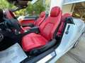 Mercedes-Benz E 220 E 220 CDI Cabrio Premium Blanc - thumbnail 11