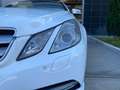 Mercedes-Benz E 220 E 220 CDI Cabrio Premium Blanc - thumbnail 15