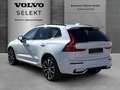 Volvo XC60 B4 Plus Dark 2WD !!!PANO+STANDHZG+ACC+BLISS Weiß - thumbnail 4