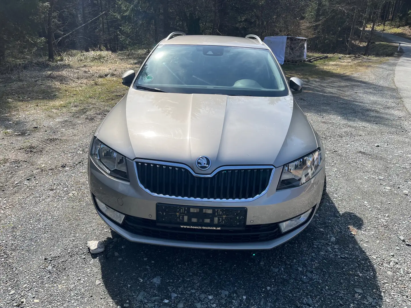 Skoda Octavia Octavia Combi 1,6 Ambition TDI 4x4 Green tec Silber - 2