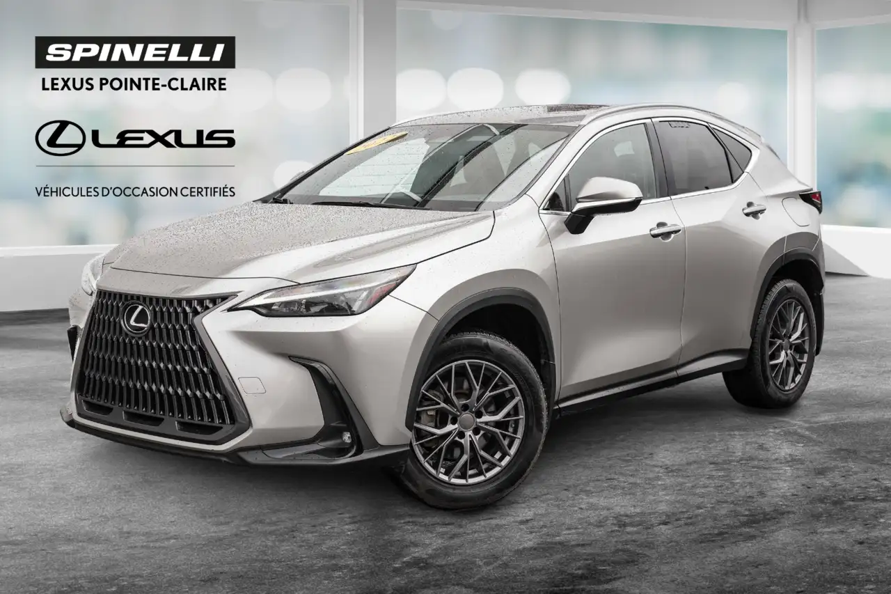 Lexus NX снимка Lexus NX