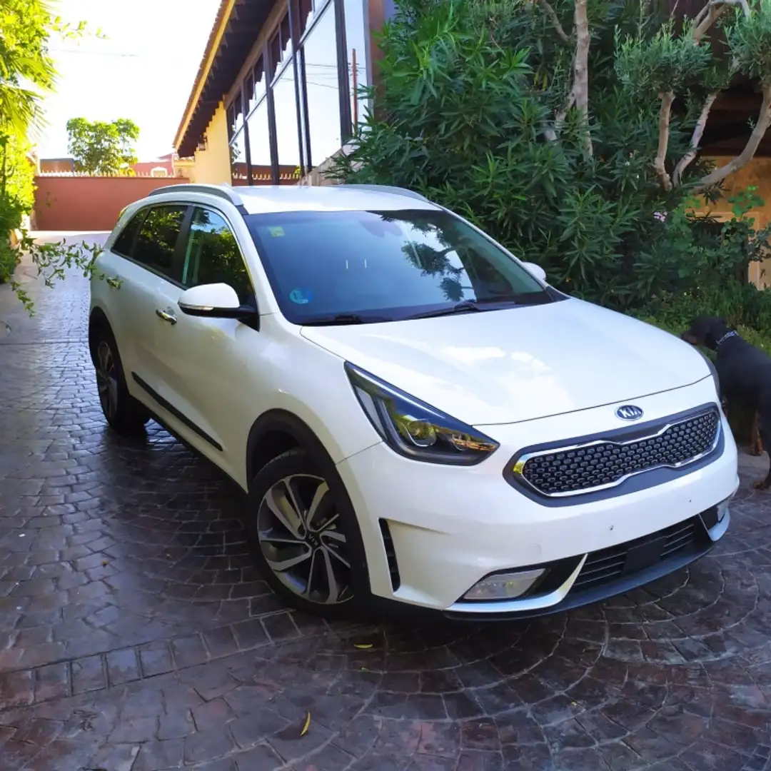 Kia Niro 1.6 HEV Drive Alb - 1