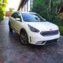 Kia Niro 1.6 HEV Drive Alb - thumbnail 12