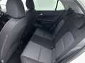 Kia Picanto 1.0 DPI ExecutiveLine Stoelverwarming | Stuurverwa Wit - thumbnail 17
