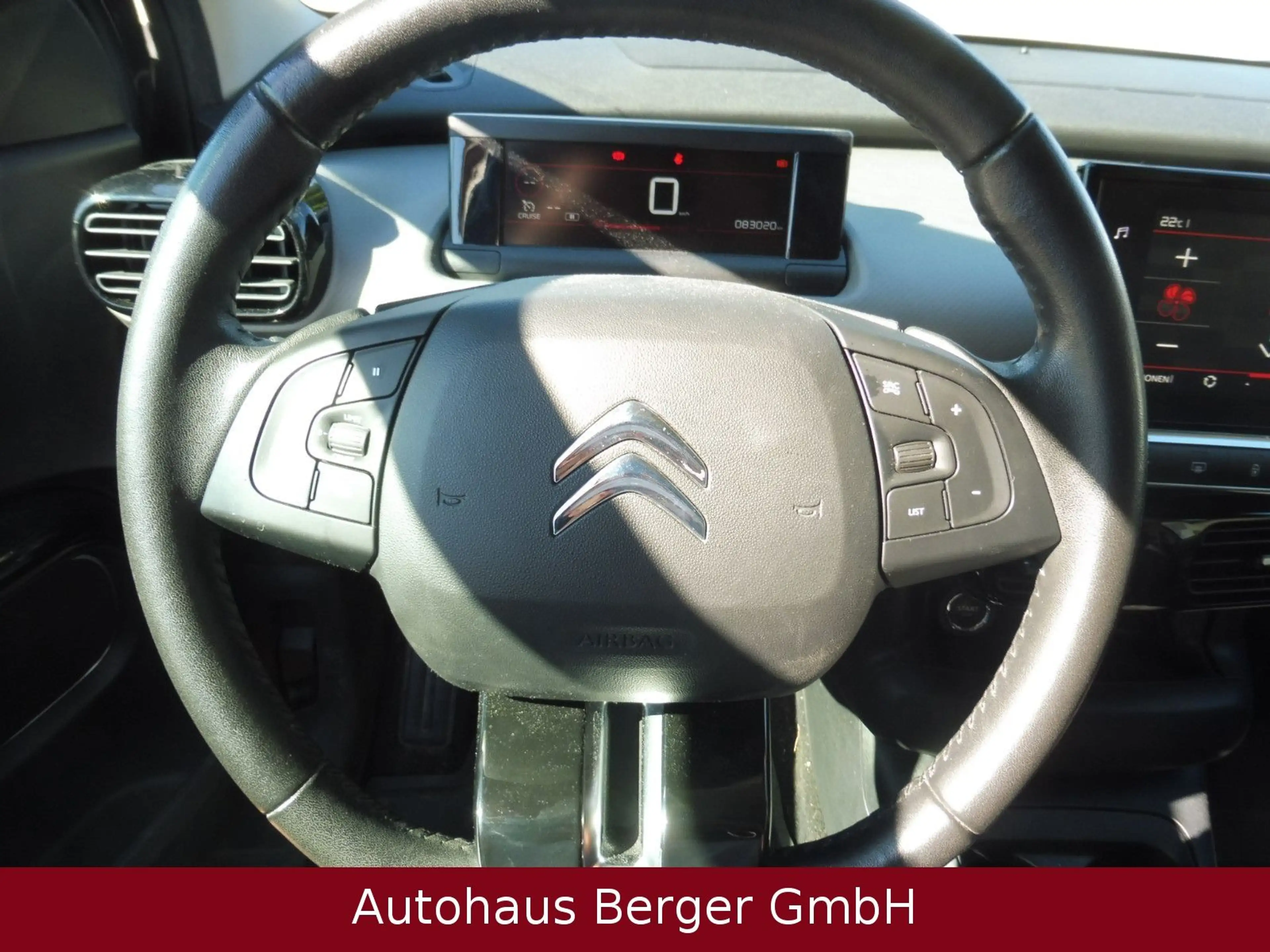 Citroen C4 Cactus 1,5 Shine — photo 10
