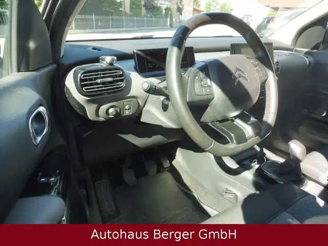 Citroen C4 Cactus view 9