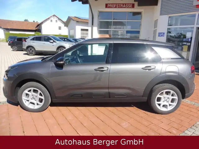Citroen C4 Cactus view 8