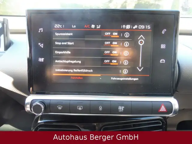Citroen C4 Cactus view 12