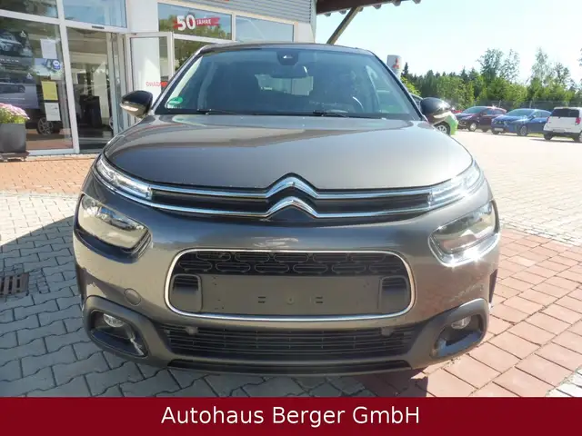 Citroen C4 Cactus view 2