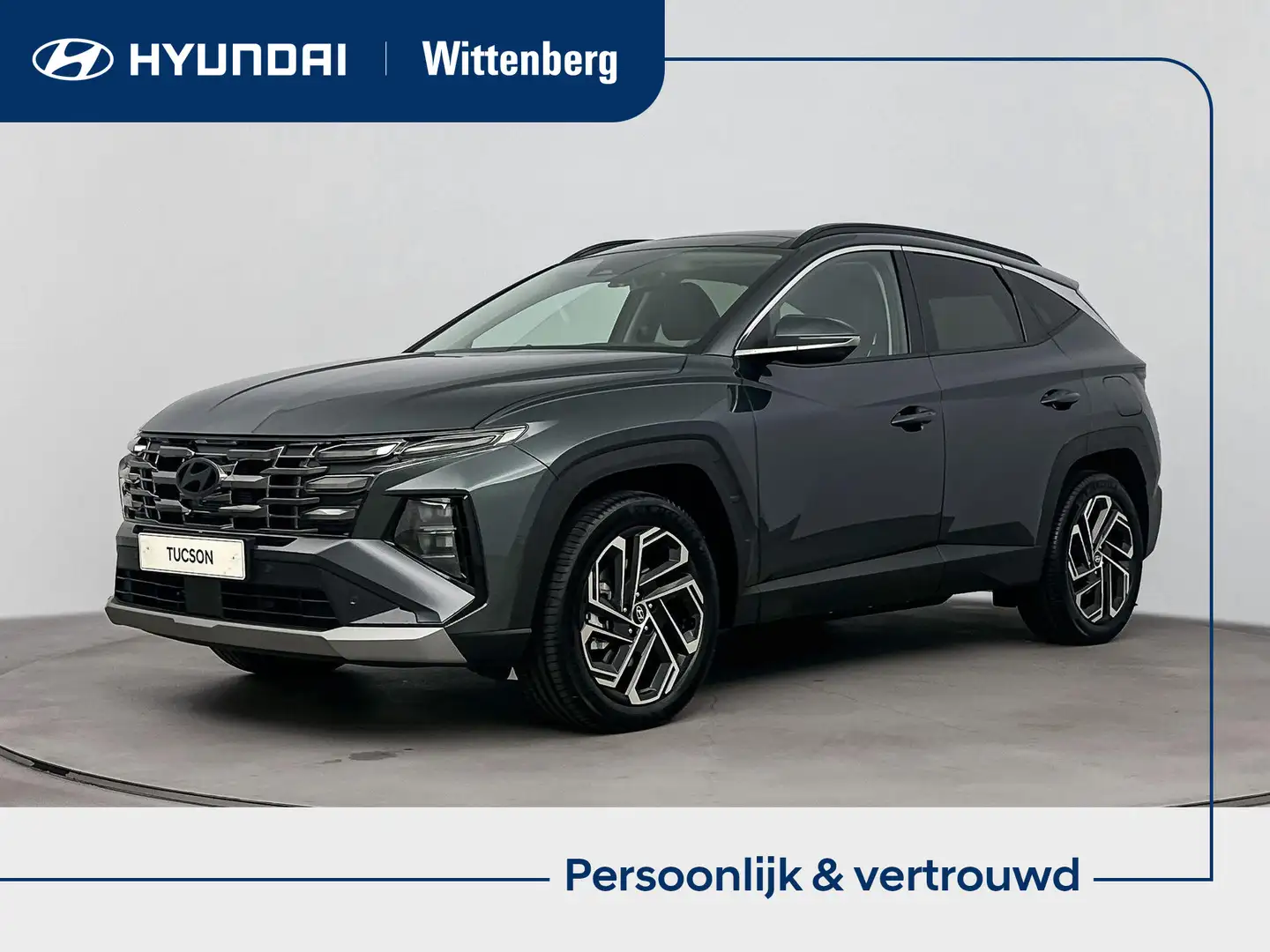 Hyundai TUCSON 1.6 T-GDI HEV Premium Sky | Panoramadak | € 2.000, Vert - 1