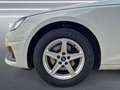 Audi A4 Avant 35 TFSI S-tronic NAVI Kamera 2xPDC SHZ Blanc - thumbnail 9