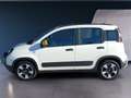 Fiat Panda Panda Cross 1.0 FireFly S&S Hybrid Weiß - thumbnail 5