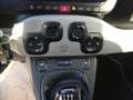 Fiat Panda Panda Cross 1.0 FireFly S&S Hybrid Weiß - thumbnail 13