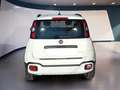Fiat Panda Panda Cross 1.0 FireFly S&S Hybrid Weiß - thumbnail 6