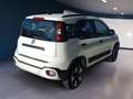 Fiat Panda Panda Cross 1.0 FireFly S&S Hybrid Weiß - thumbnail 4