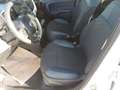 Fiat Panda Panda Cross 1.0 FireFly S&S Hybrid Weiß - thumbnail 9