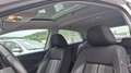 Volkswagen Polo 1.2 TSI BMT A- Plus 66kW Blanco - thumbnail 3