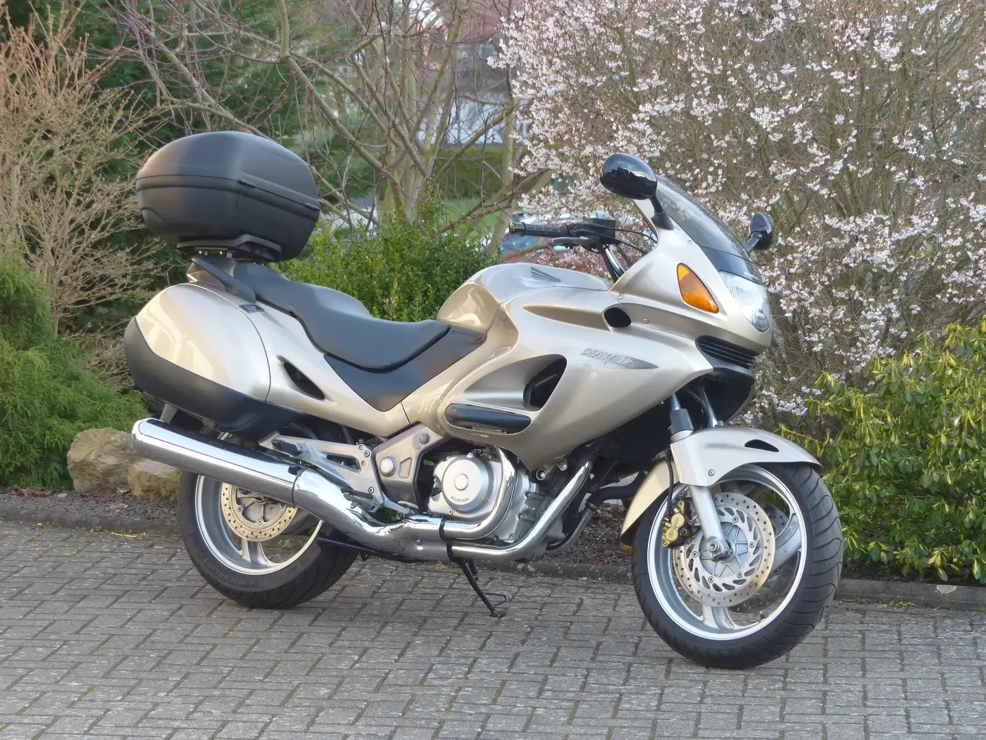 Honda Deauville NT650V Beżowy - 1