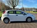 Fiat Punto Evo 0.9 TwinAir Street/AIRCO/CRUISE/PARKEERSENS ACHTER Bianco - thumbnail 4