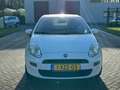 Fiat Punto Evo 0.9 TwinAir Street/AIRCO/CRUISE/PARKEERSENS ACHTER Bianco - thumbnail 2