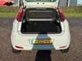 Fiat Punto Evo 0.9 TwinAir Street/AIRCO/CRUISE/PARKEERSENS ACHTER Bianco - thumbnail 7