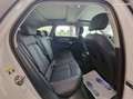 Audi A6 allroad 40 TDI 204ch – État neuf Cuir, Toit pano, Quattro Garantie 12 mois Blanc - thumbnail 5