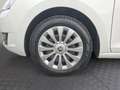 Skoda Rapid/Spaceback Rapid Spaceback 1,0 TSI Sport Weiß - thumbnail 14