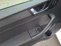 Skoda Rapid/Spaceback Rapid Spaceback 1,0 TSI Sport Weiß - thumbnail 18