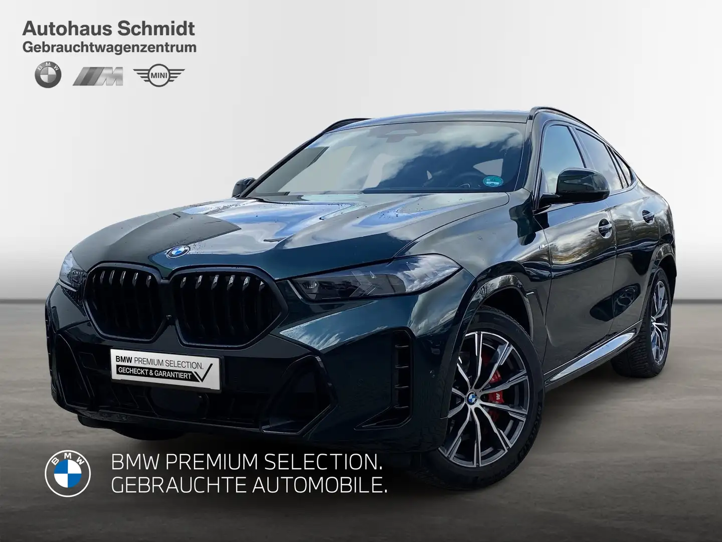 BMW X6 xDrive40d Luftfederung*M Sportpaket*Massage*Standh Grün - 1