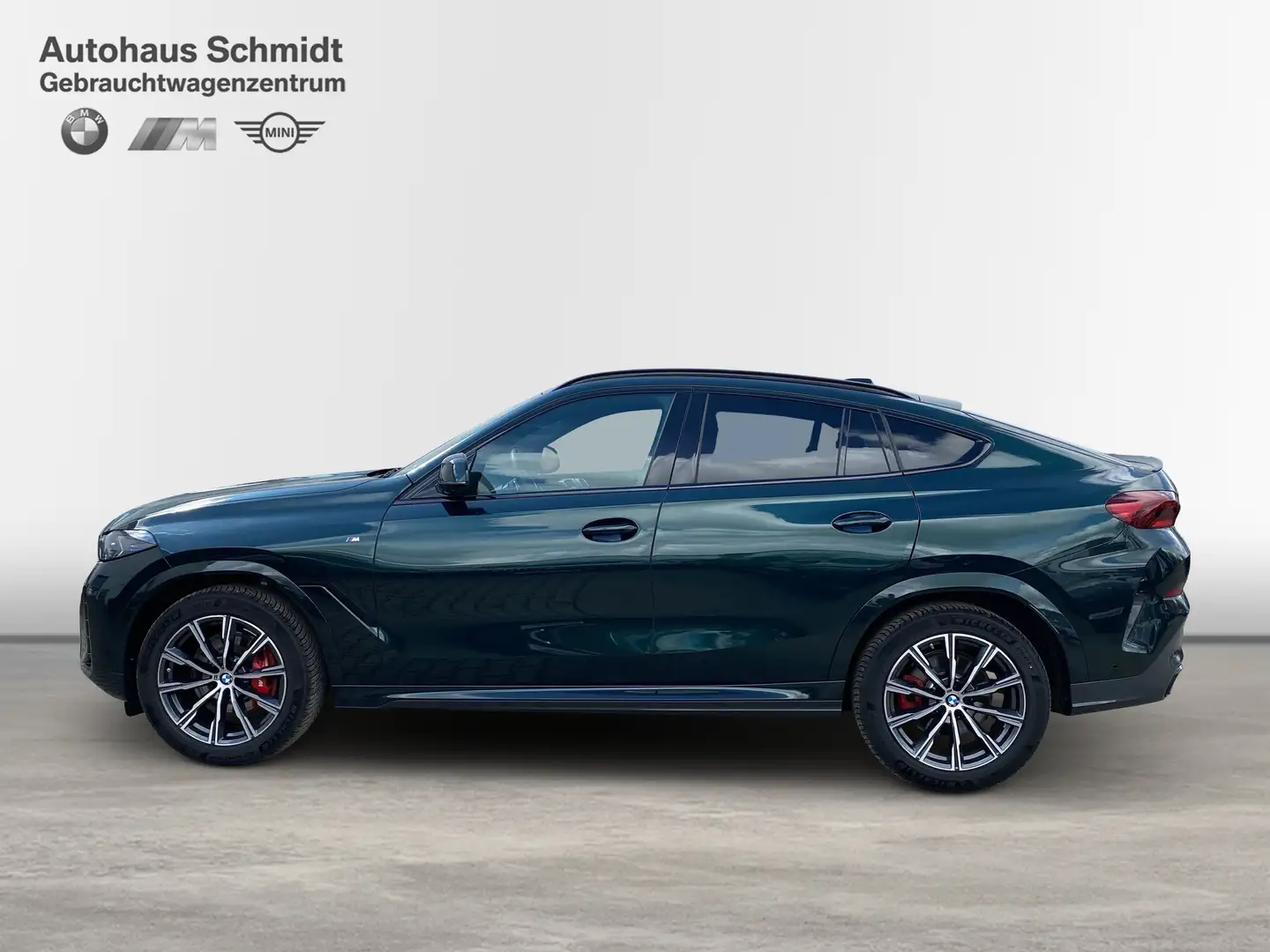 BMW X6 xDrive40d Luftfederung*M Sportpaket*Massage*Standh Grün - 2