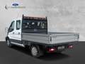 Ford Transit Pritsche 350 L2 Doppelkabine Trend Blanc - thumbnail 3