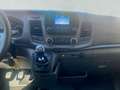 Ford Transit Pritsche 350 L2 Doppelkabine Trend Blanc - thumbnail 13