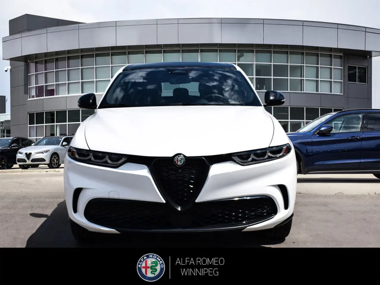 Alfa Romeo Tonale fotografie Alfa Romeo Tonale