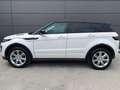 Land Rover Range Rover Evoque Range Rover Evoque Si4HSE Weiß - thumbnail 5