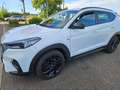 Hyundai TUCSON Tucson Diesel blue 1.6 CRDi 2WD Trend Weiß - thumbnail 3