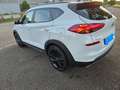 Hyundai TUCSON Tucson Diesel blue 1.6 CRDi 2WD Trend Weiß - thumbnail 15