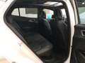 Kia Sportage 1.6 T-GDi HEV 171kW (230CV) GT-line 4x4 Blanc - thumbnail 10