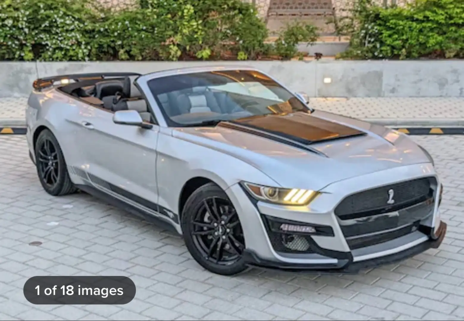 Ford Mustang American Specs Gris - 1