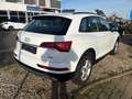 Audi Q5 50 TFSI e quattro Automatik+Digital T+Nav+LED Weiß - thumbnail 6