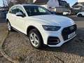 Audi Q5 50 TFSI e quattro Automatik+Digital T+Nav+LED Weiß - thumbnail 8