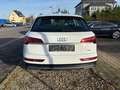 Audi Q5 50 TFSI e quattro Automatik+Digital T+Nav+LED Weiß - thumbnail 4