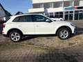 Audi Q5 50 TFSI e quattro Automatik+Digital T+Nav+LED Weiß - thumbnail 7