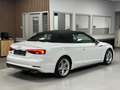 Audi S5 Cabrio 3.0 V6 TFSI 354 Cv Quattro Full Options - thumbnail 2