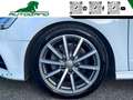 Audi A3 SPB 30 TFSI 116CV NEOPATENTATI OK Weiß - thumbnail 12