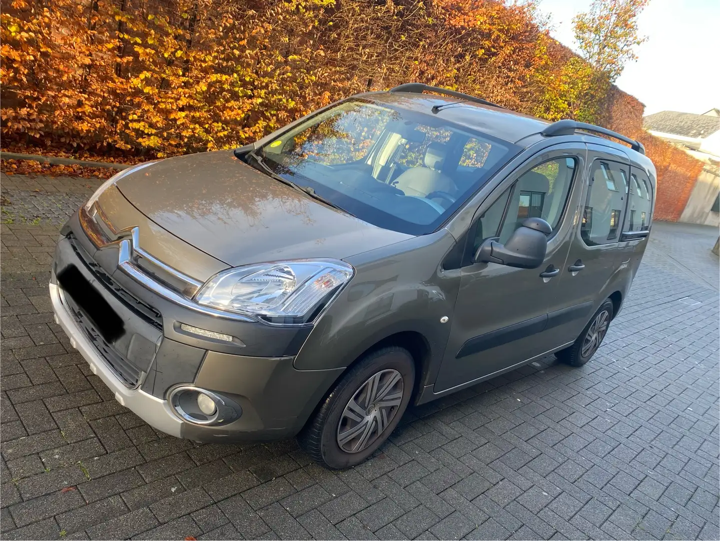 Citroen Berlingo 1.6 HDi Multispace FAP - 1