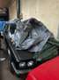 Alfa Romeo Alfetta Alfetta 2.0i Quadrifoglio Oro - thumbnail 4