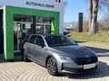 Skoda Octavia 2.0 TDI 110 kW Sportline Grau - thumbnail 1